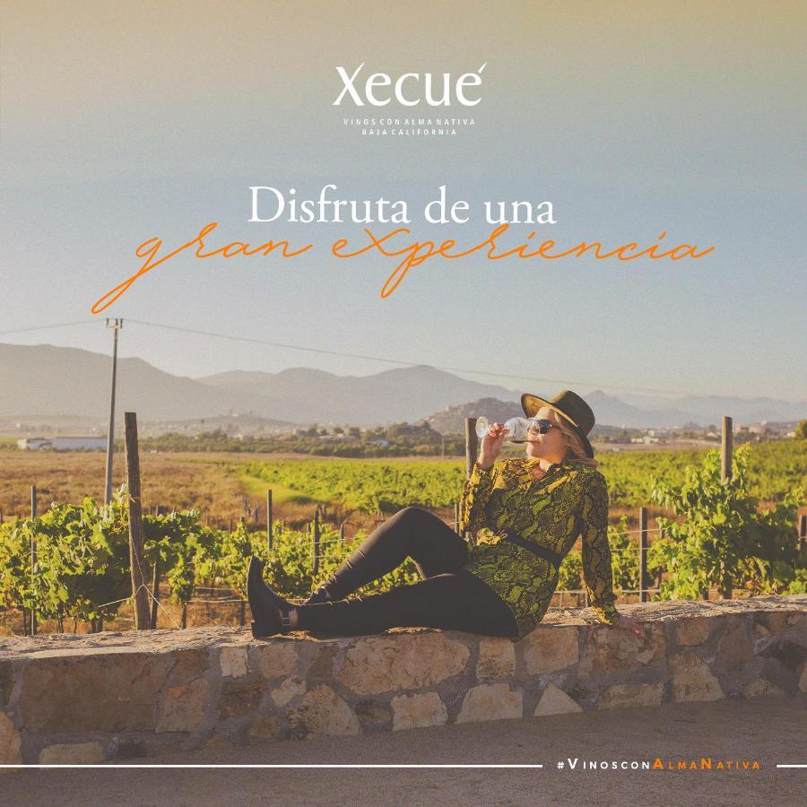 Vinos Xecue Hotel Ensenada Kültér fotó